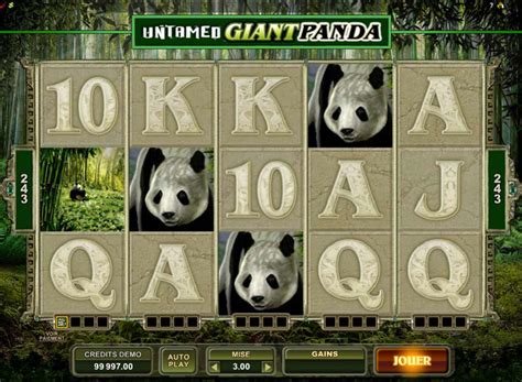  giant panda casino